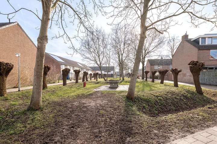 Foto 47 van Korenbloem 44