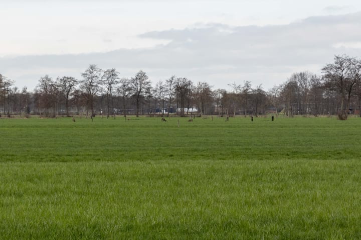 Foto 43 van Peinderwei 30
