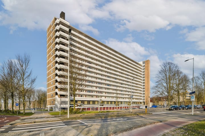 Photo 18 of Burgemeester Hogguerstraat 153