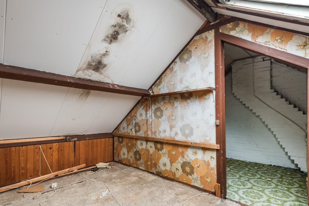 Foto 31 van J.C. van Wessemstraat 69