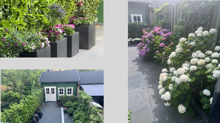 Foto 46 van Hoofdwal 44