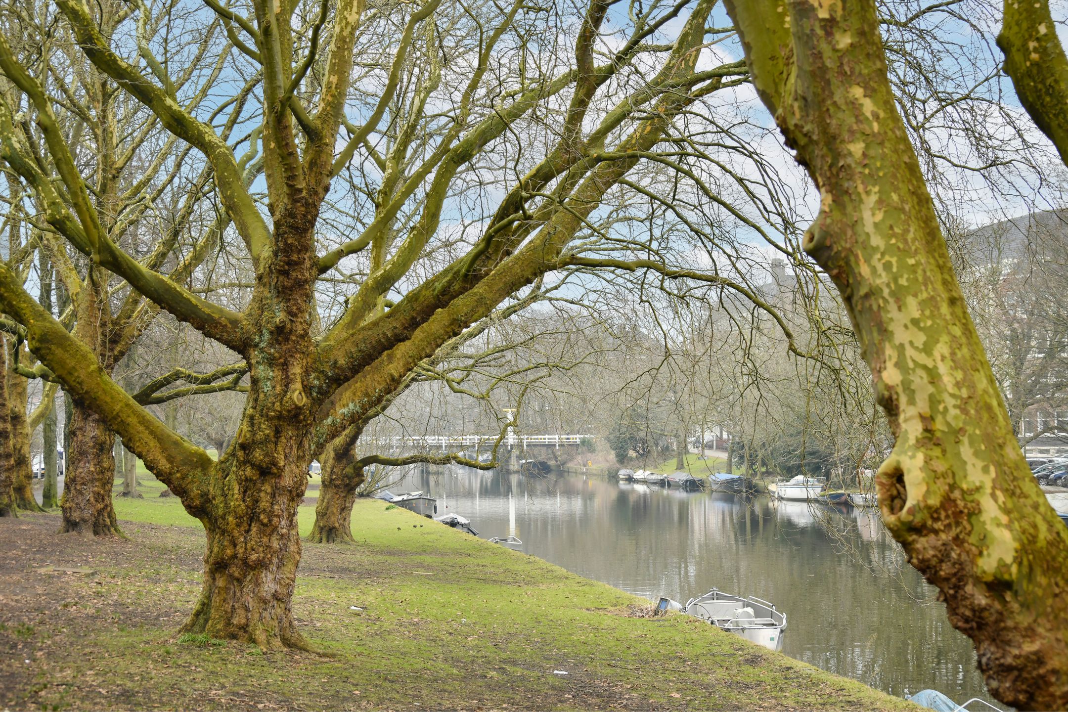 Foto 21 van Willem Kesstraat 7-3