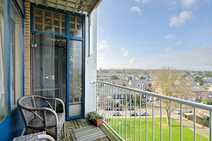 Foto 35 van Van Alkemadelaan 854