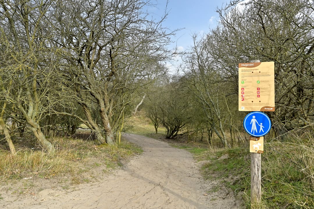 Foto 41 van Van Alkemadelaan 854