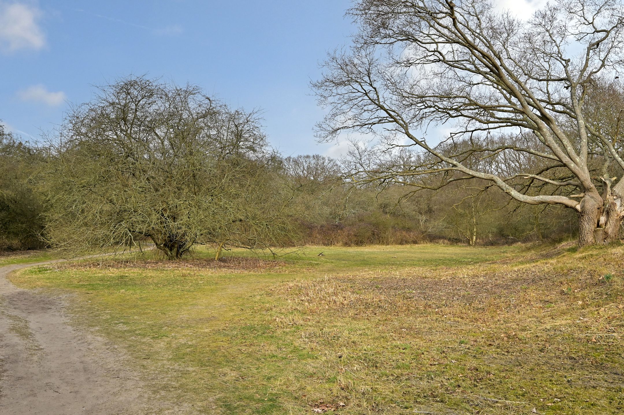 Foto 42 van Van Alkemadelaan 854