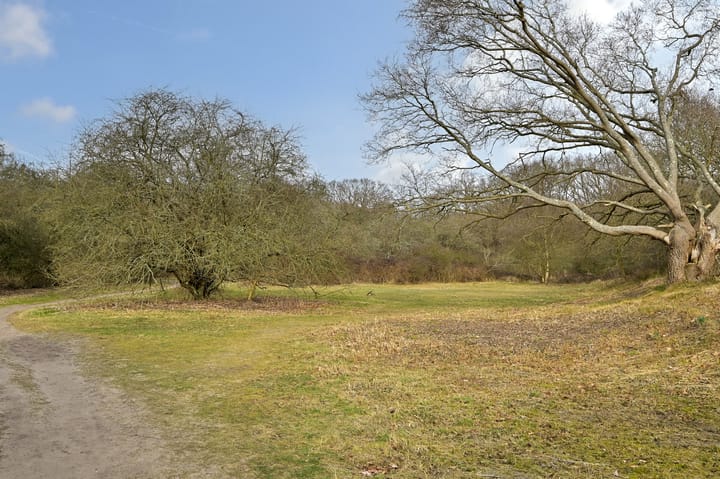 Foto 42 van Van Alkemadelaan 854