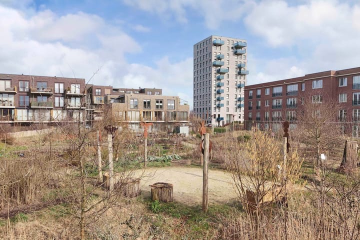 Foto 37 van Sumatraweg 232