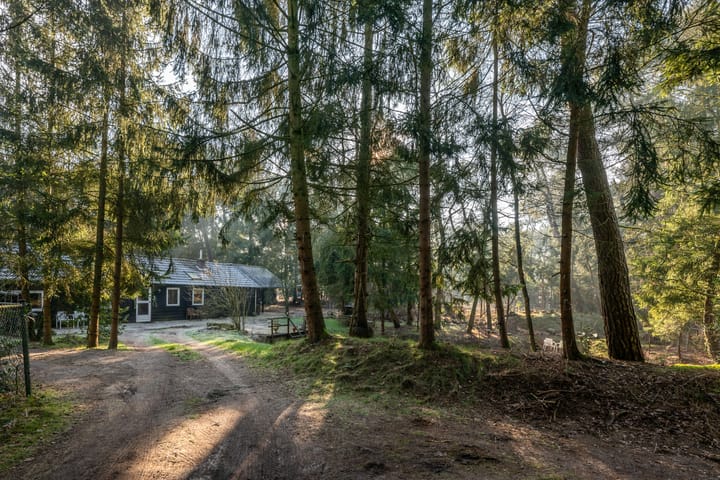 Foto 6 van Rietven 8