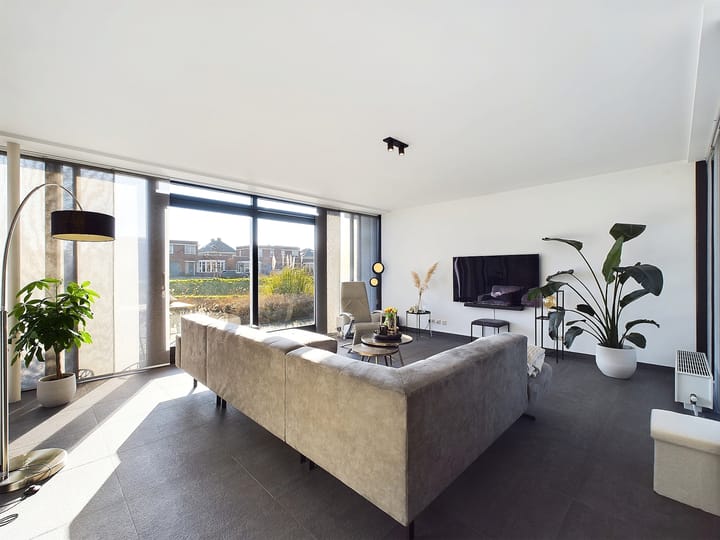 Foto 3 van Buizerd 11