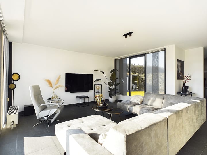 Foto 4 van Buizerd 11