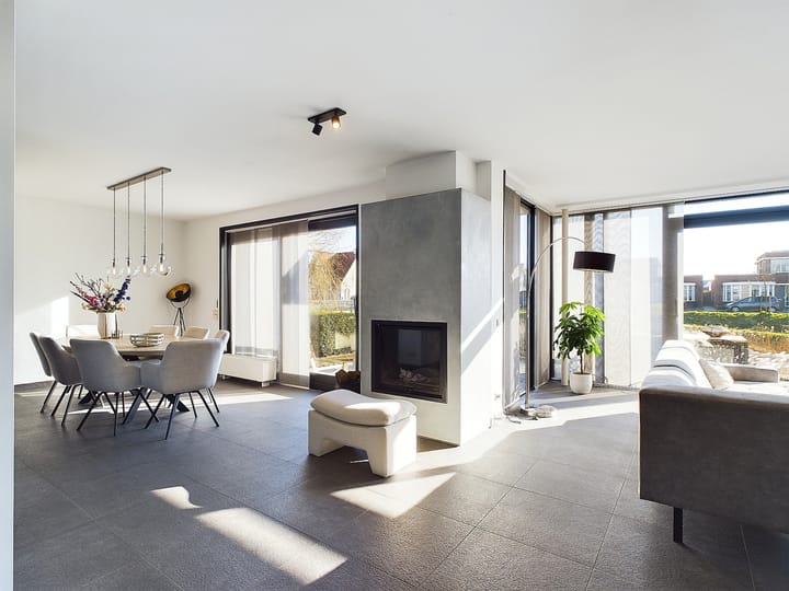 Foto 9 van Buizerd 11