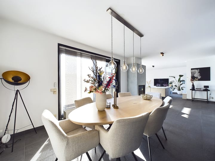 Foto 14 van Buizerd 11