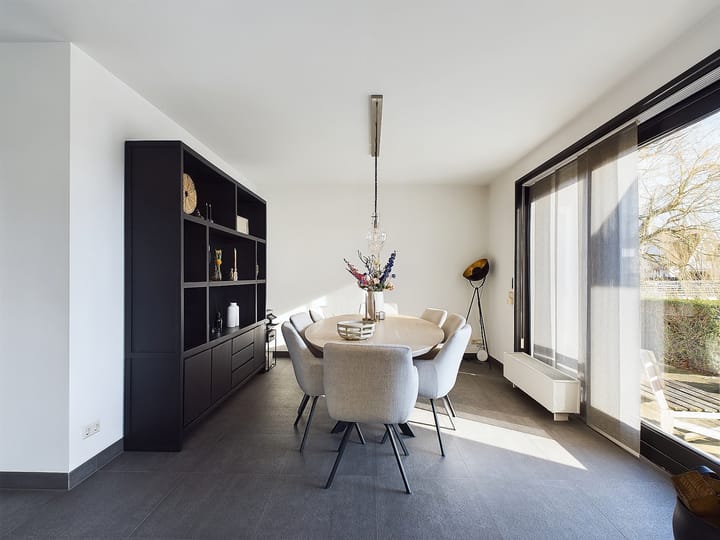 Foto 11 van Buizerd 11