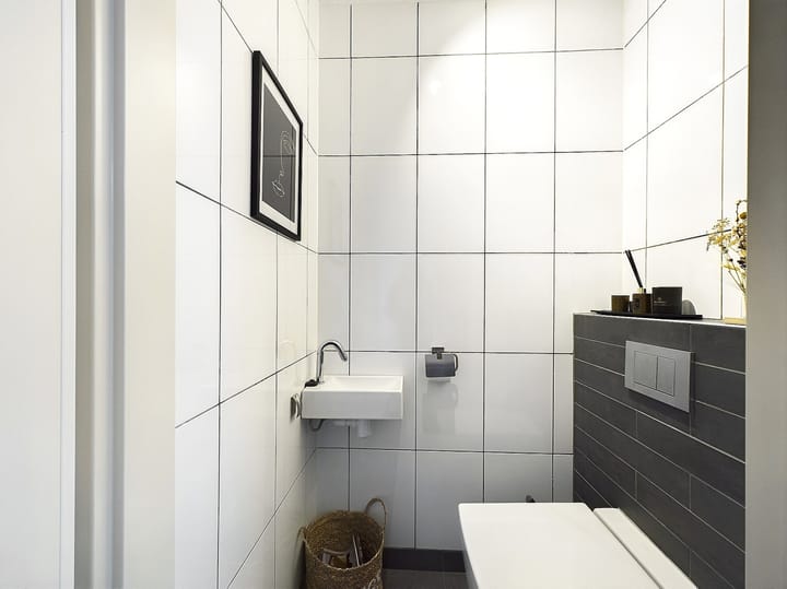 Foto 22 van Buizerd 11