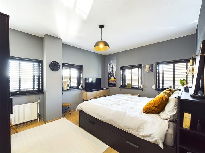 Foto 28 van Buizerd 11