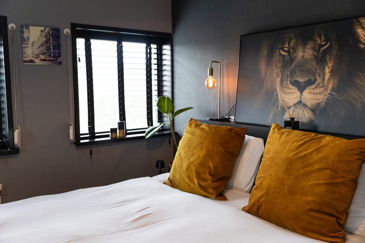 Foto 29 van Buizerd 11