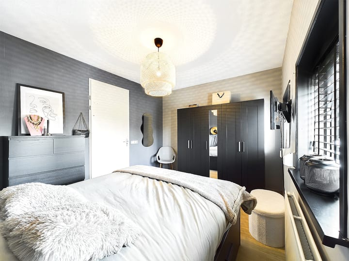 Foto 30 van Buizerd 11