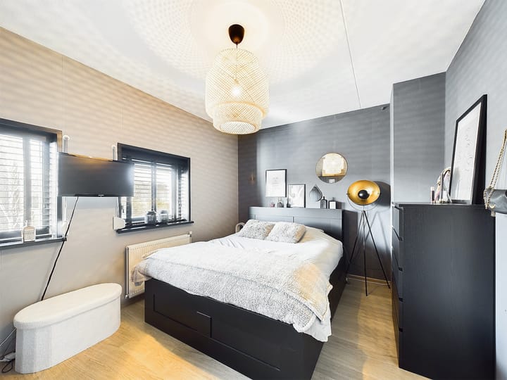 Foto 31 van Buizerd 11