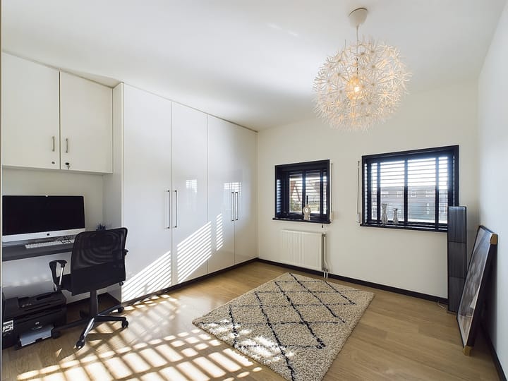 Foto 32 van Buizerd 11