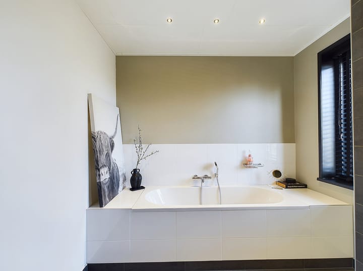 Foto 35 van Buizerd 11