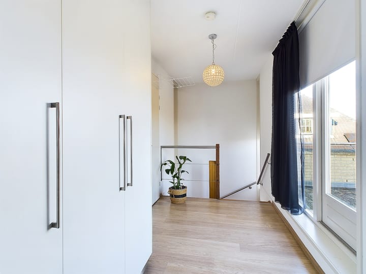 Foto 40 van Buizerd 11