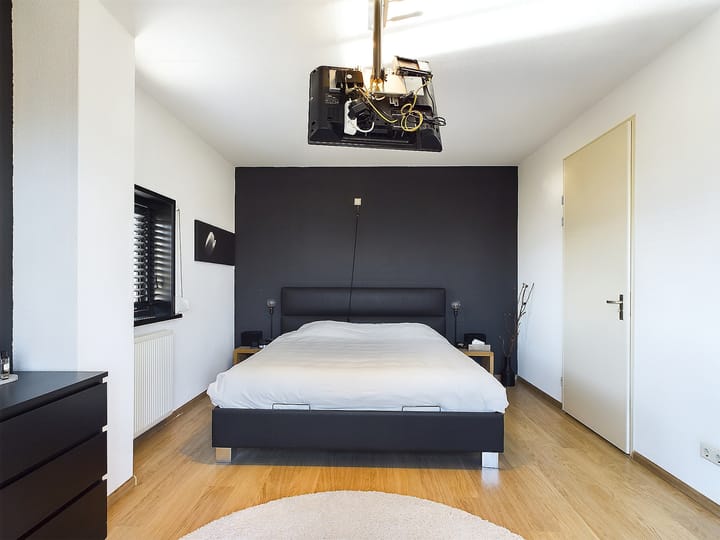 Foto 41 van Buizerd 11