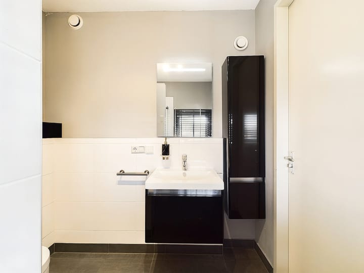 Foto 47 van Buizerd 11