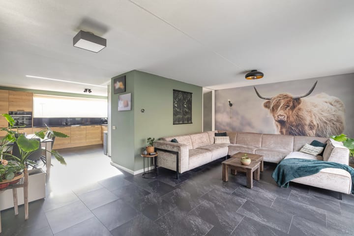 Foto 10 van Vliegent Hert 232