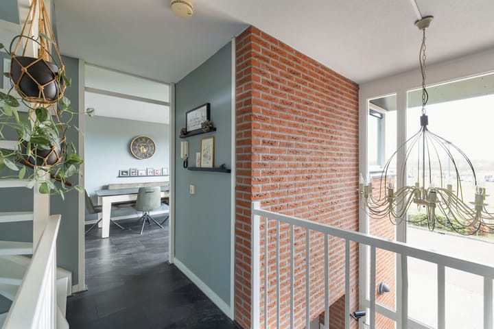 Foto 9 van Vliegent Hert 232