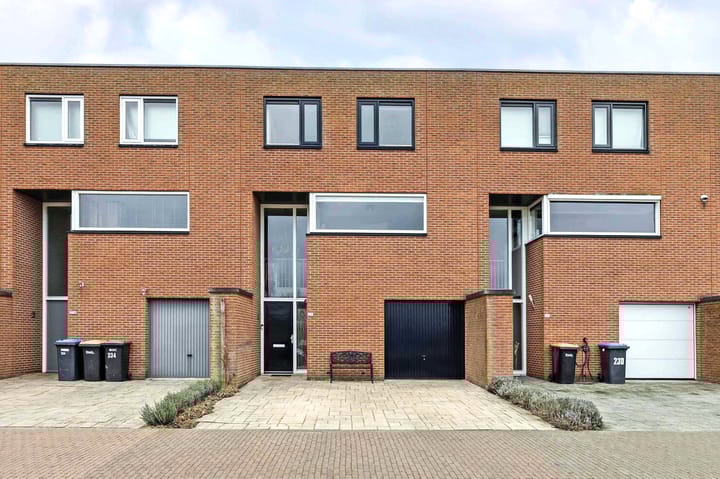 Foto 1 van Vliegent Hert 232