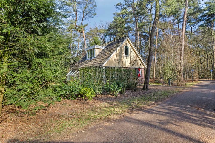 Foto 27 van Rolderstraat 11-A250