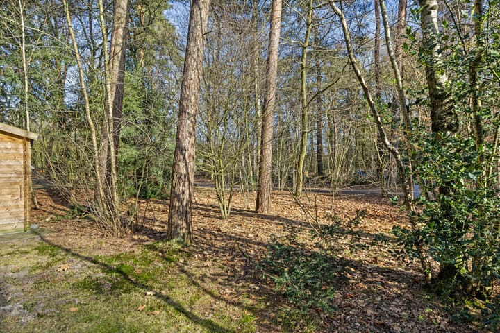 Foto 34 van Rolderstraat 11-A250