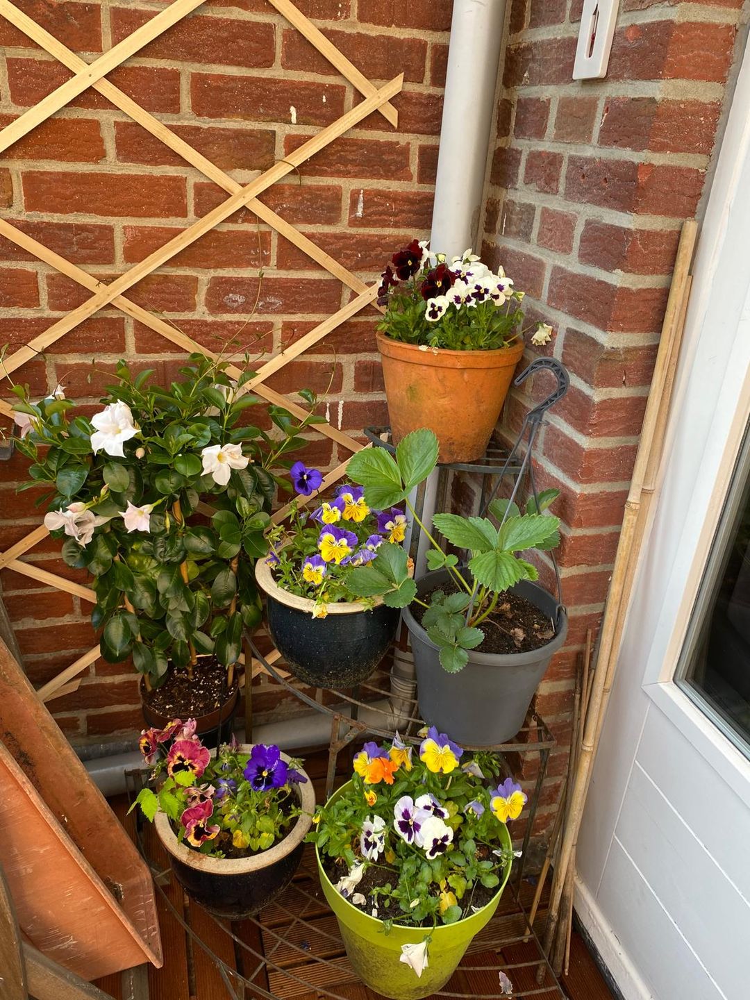 Foto 53 van Balistraat 86-C