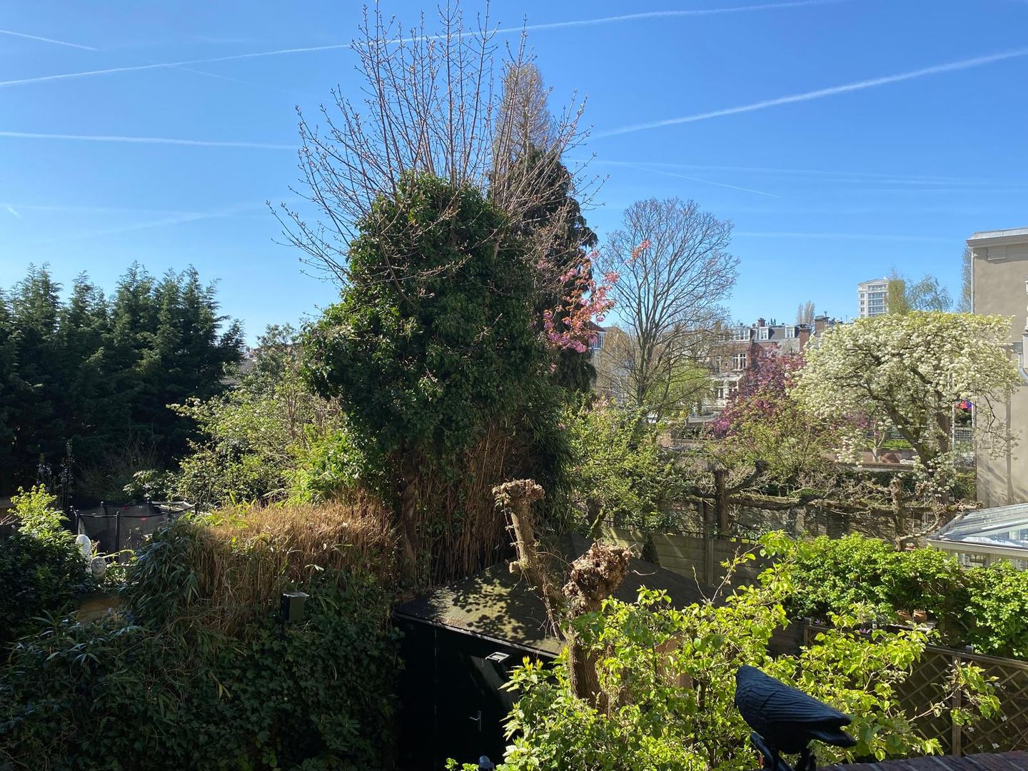 Foto 55 van Balistraat 86-C