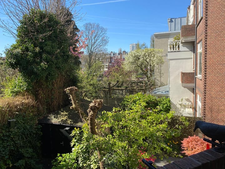 Foto 58 van Balistraat 86-C