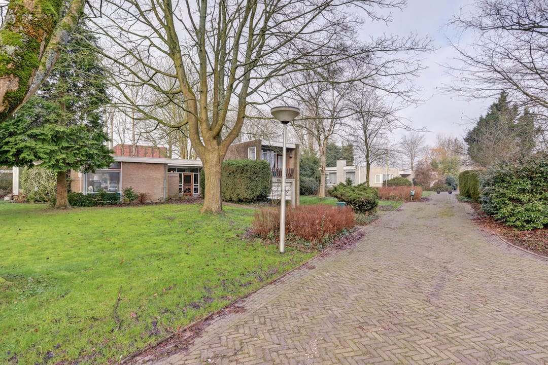 Foto 2 van de Bontekoe 10