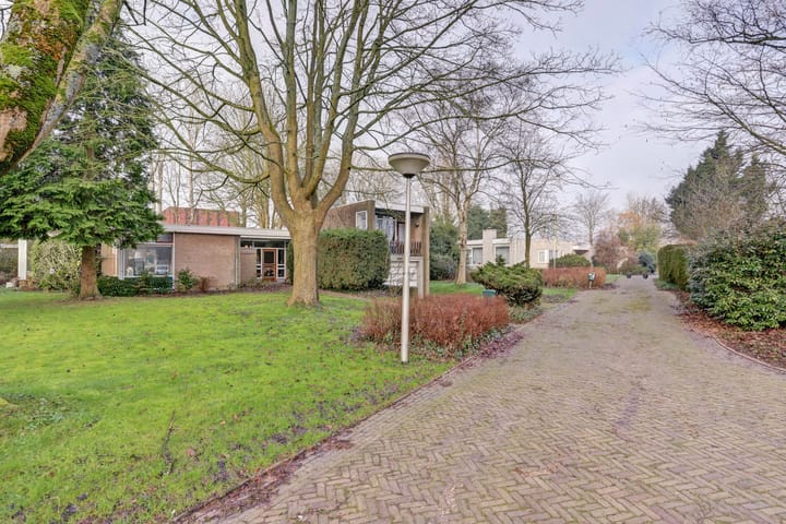 Foto 2 van de Bontekoe 10