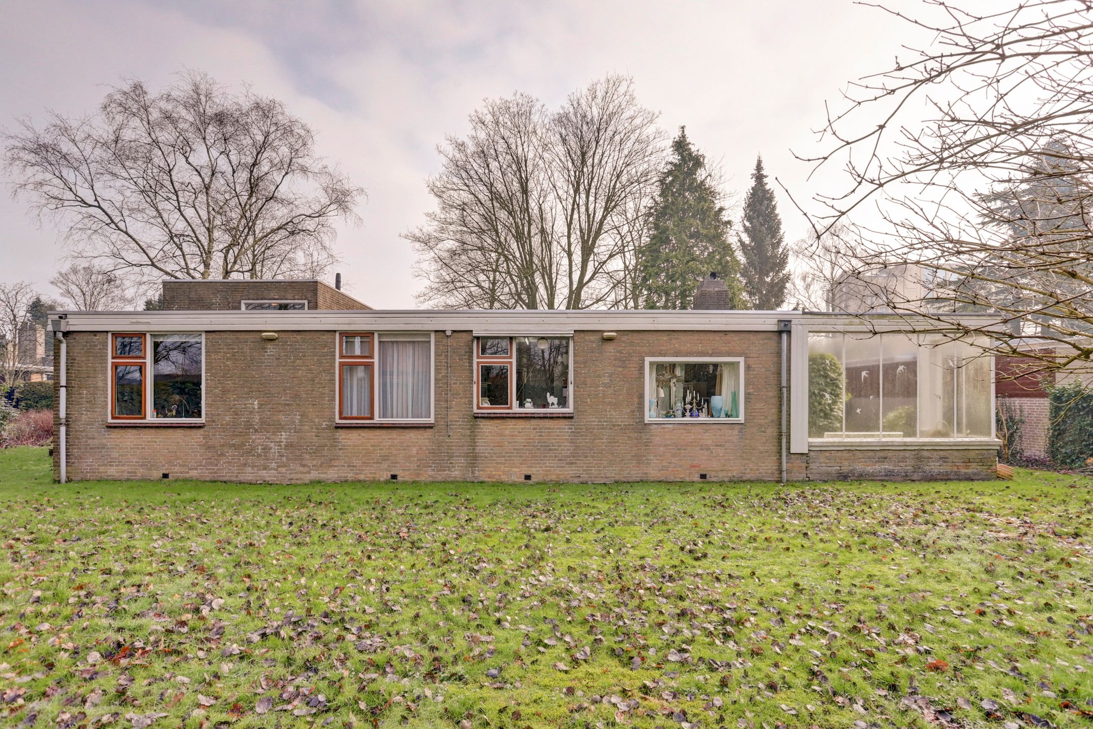 Foto 3 van de Bontekoe 10