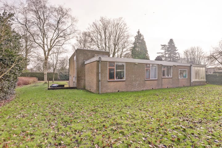 Foto 4 van de Bontekoe 10