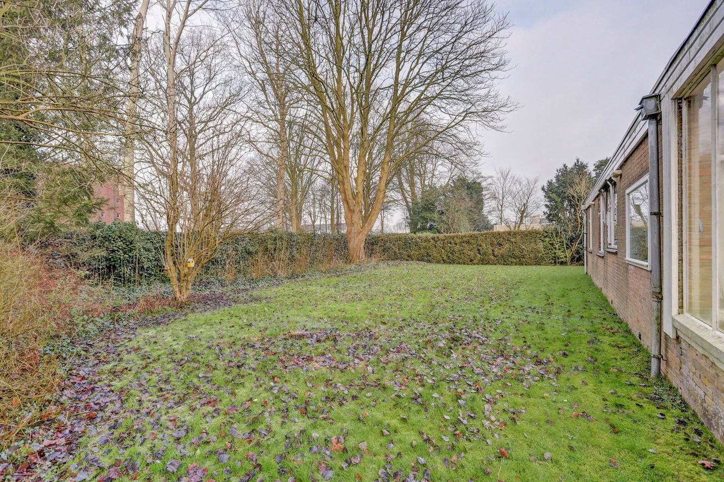 Foto 29 van de Bontekoe 10