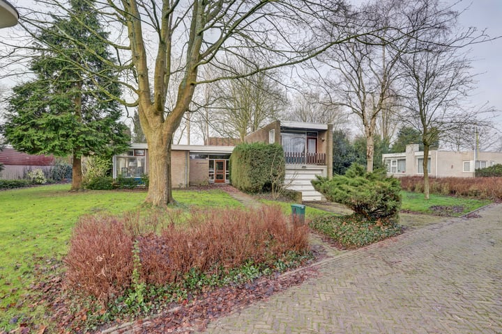 Bekijk foto van de Bontekoe 10
