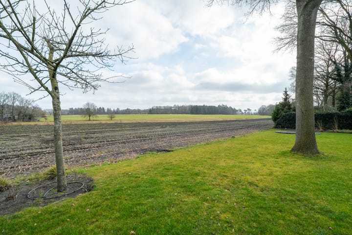 Photo 56 of De Hoefslag 50