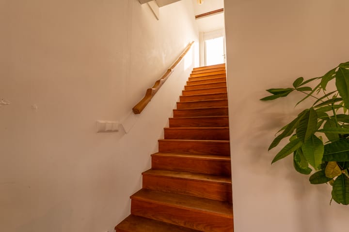 Foto 16 van Cereslaan 71