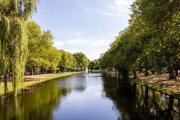 Foto 4 van Heemraadssingel 56-C