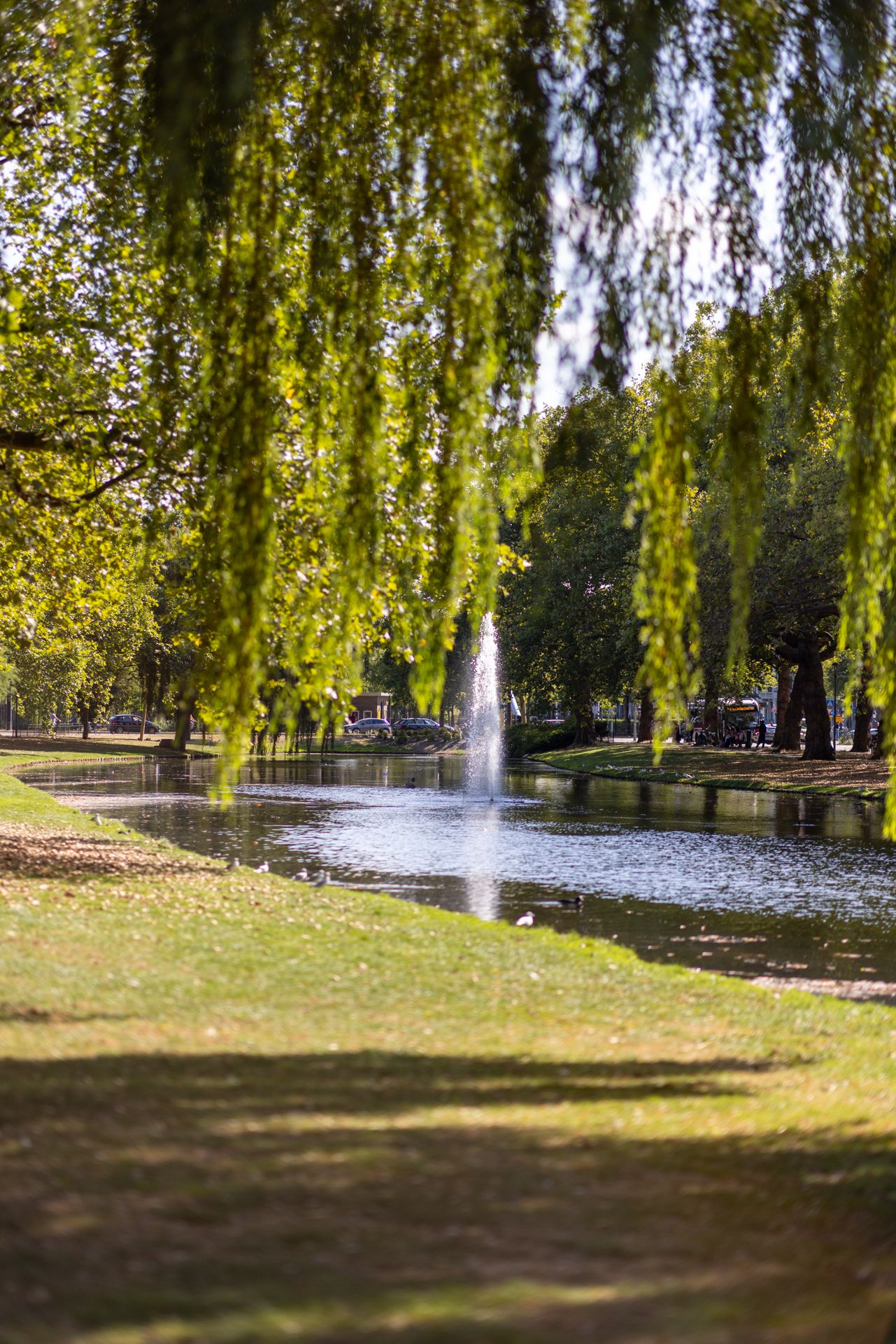 Foto 70 van Heemraadssingel 56-C