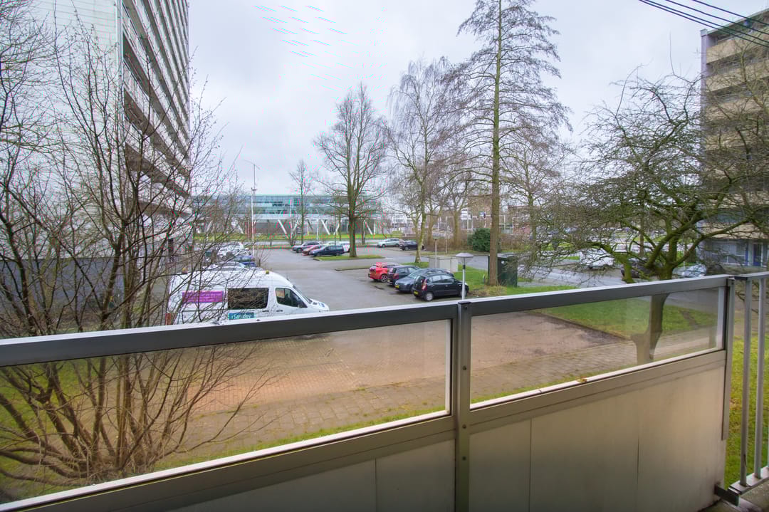 Foto 23 van de Fennen 220