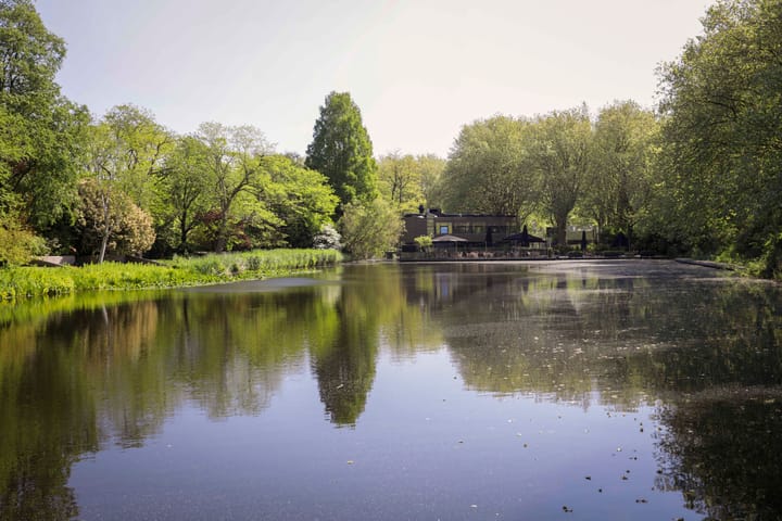 Foto 29 van Onstein 16