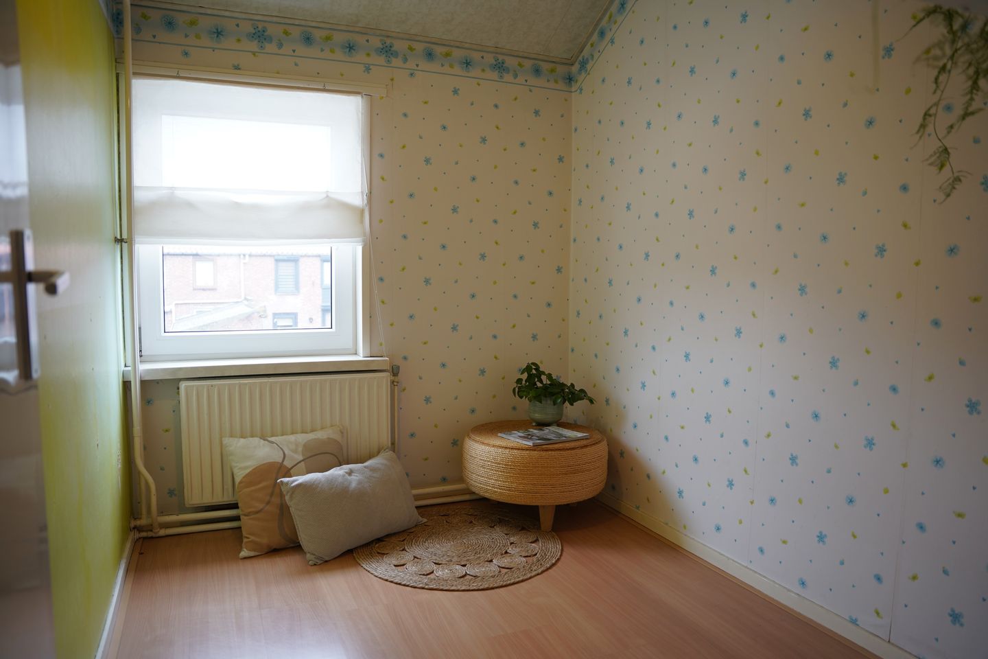 Foto 19 van Paulus Potterstraat 27