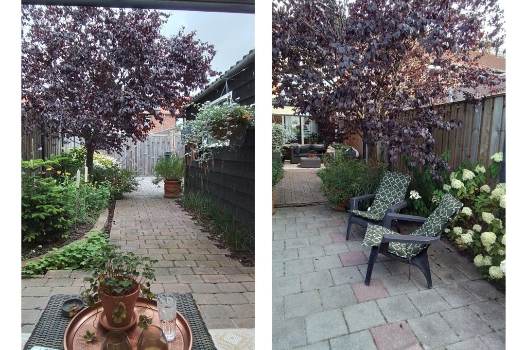 Foto 28 van Paulus Potterstraat 27