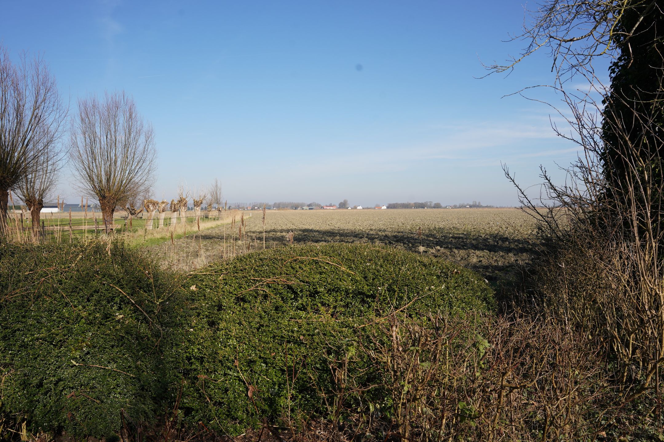 Foto 39 van Schoondijkseweg 3